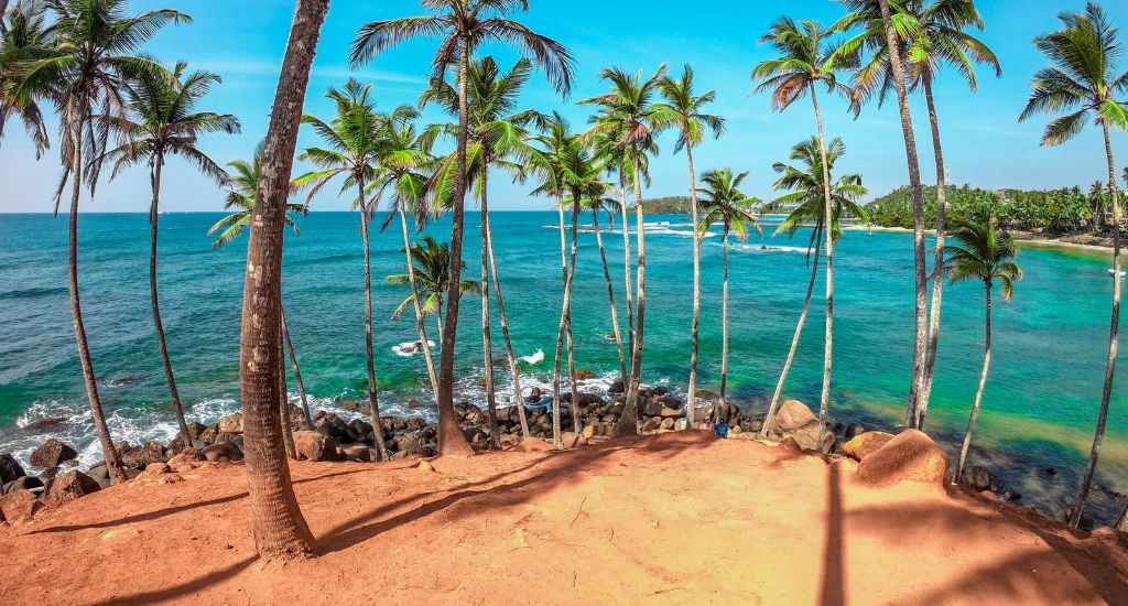 Coconut Tree Hill in Mirissa