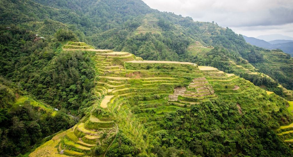 Rice terraces in Banaue