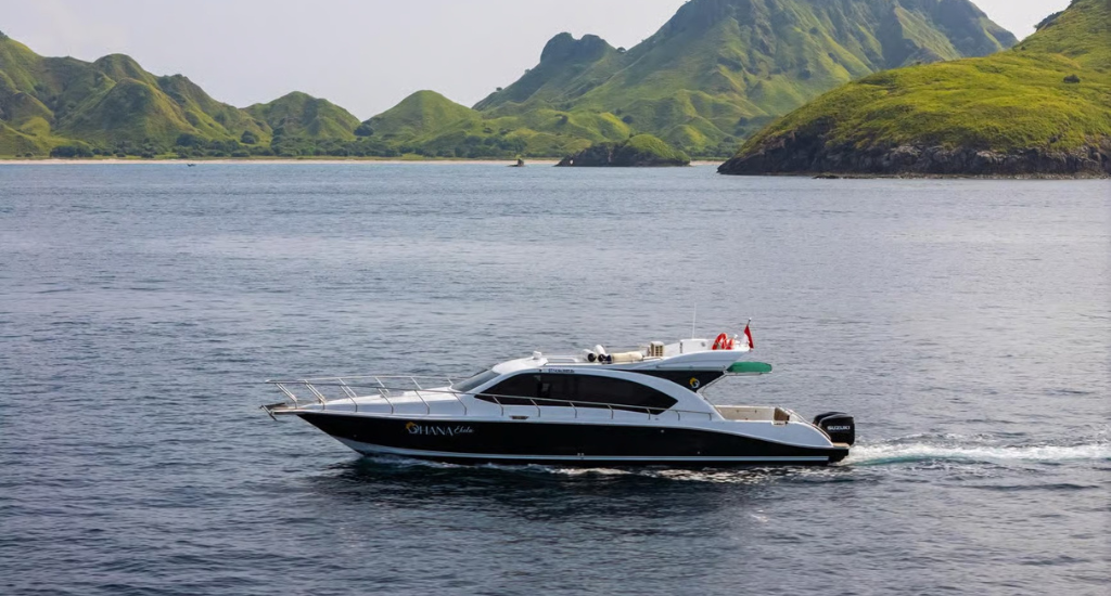 Speedboat tour in Komodo Island, Indonesia